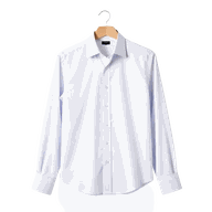 Shirts category